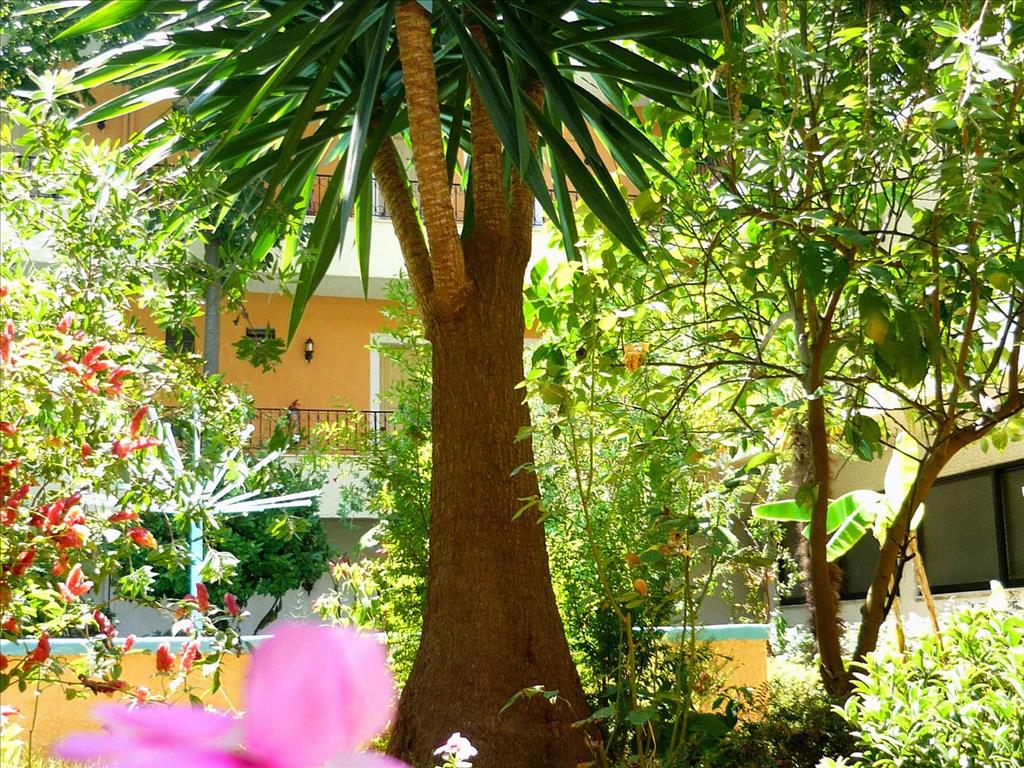 Alkionis Hotel: Garden