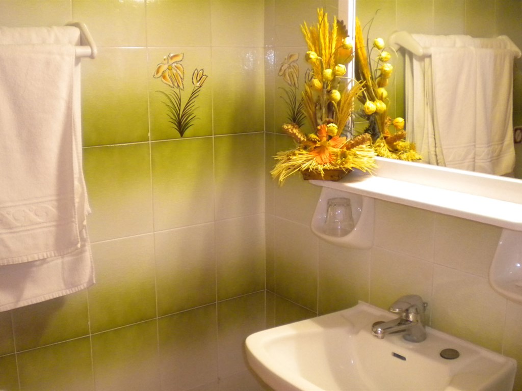 Brati Arcoudi Hotel: Bathroom