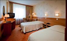 Beta Izmaylovo Hotel: Стандартный номер - просторная комната с одной большой кроватью или двумя раздельными кроватями.